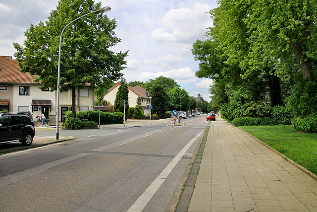 Levinstraße (Essen-Gerschede) / 9.06.2019