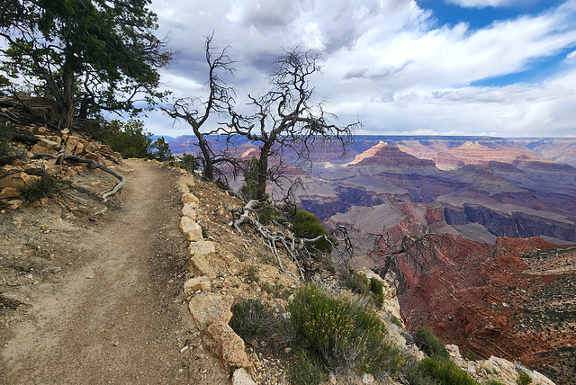 Rim Trail