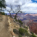 Rim Trail