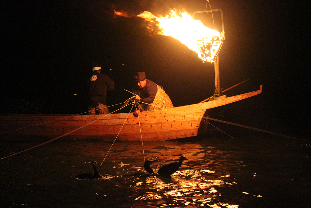 Cormorant Fishing