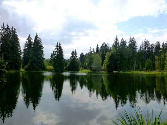CZ - Kladská - Hike around the lake