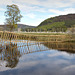 River Clunie fence