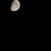 la lune et Jupiter (en bas à droite)