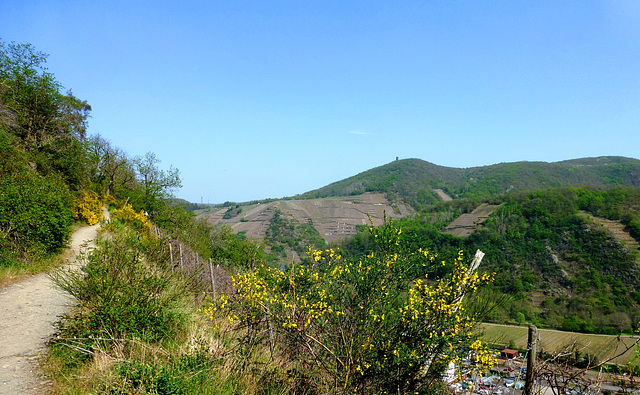 DE - Rech - Blick zum Krausberg