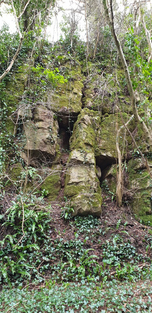 Railway Cutting