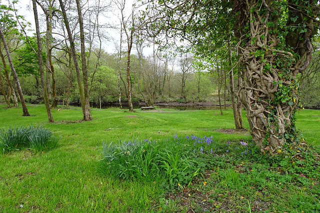 Spring In Luss