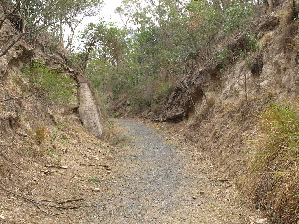 Muntapa Tunnel 272593