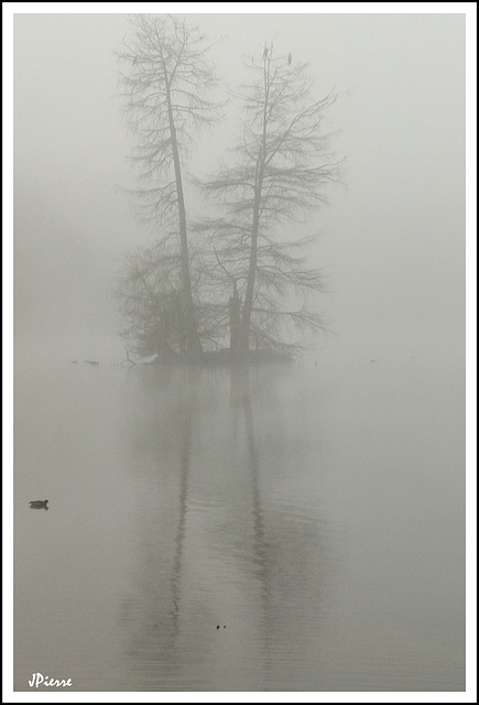 Ile dans le brouillard