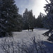 20250112 Raquettes Crêtes de Charande (Vercors) (126)