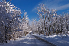 Winterlandschaft auf dem Randen