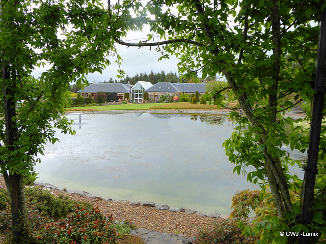 Carestown Steading Garden on a wet May 30th 2015