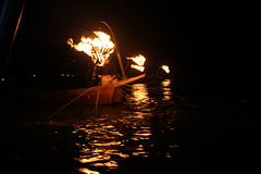 Cormorant Fishing