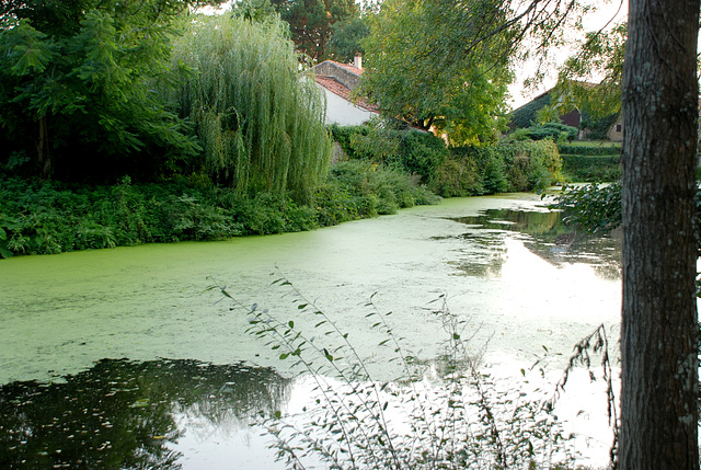 bessay en vendée