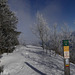 20250112 Raquettes Crêtes de Charande (Vercors) (127)