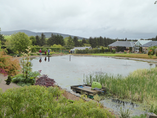 Carestown Steading Garden on a wet May 30th 2015