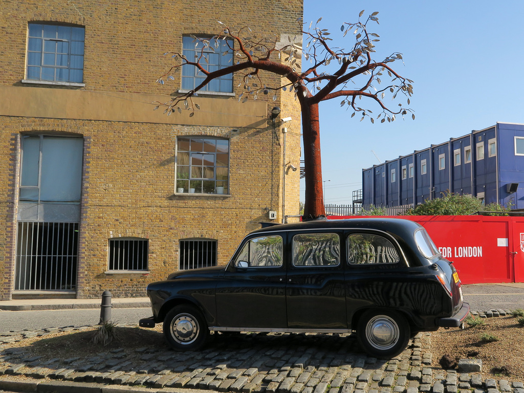 Black Cab Tree