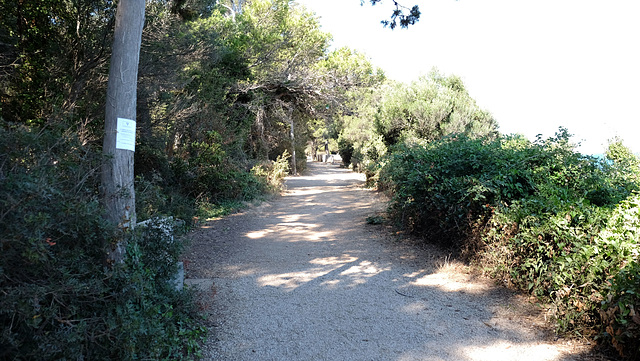 CANNES: Visite de l'ile Saint Honorat 11