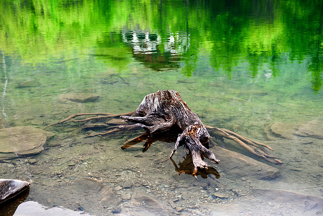 ... si torna al verde ...