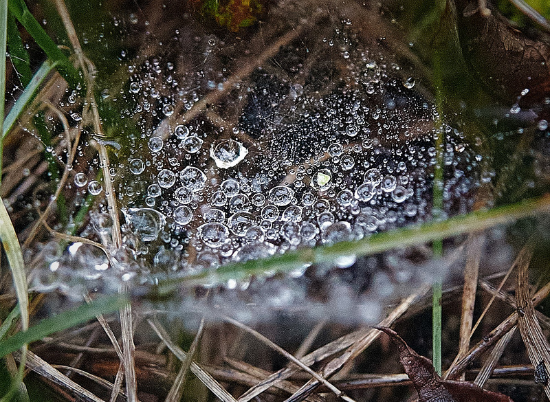 After The Rain