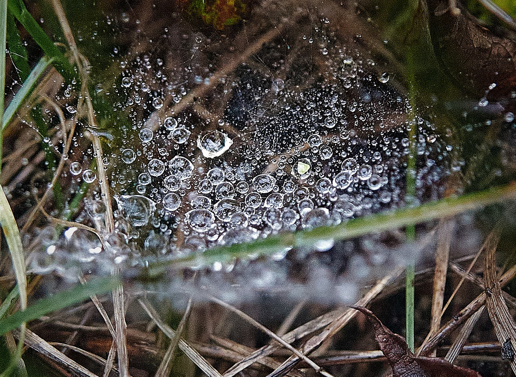 After The Rain