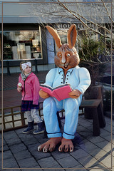 Rabbit School for Pam