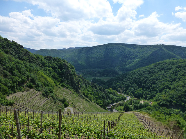 DE - Altenahr - Steillagen