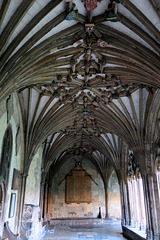 IMG 1918-001-Cloister Ceiling