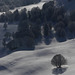 20250112 Raquettes Crêtes de Charande (Vercors) (132)