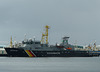 Seeadler at Reykjavik - 17 June 2017