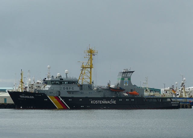 Seeadler at Reykjavik - 17 June 2017