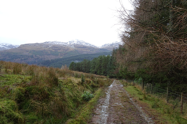 Winter Near Lochgoilhead