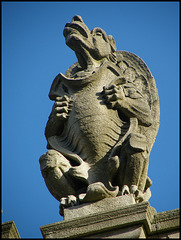 town hall griffin