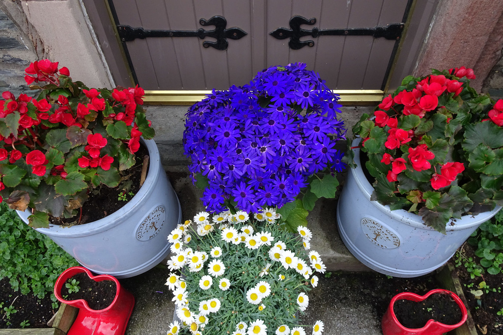 Colourful Flowers In Luss
