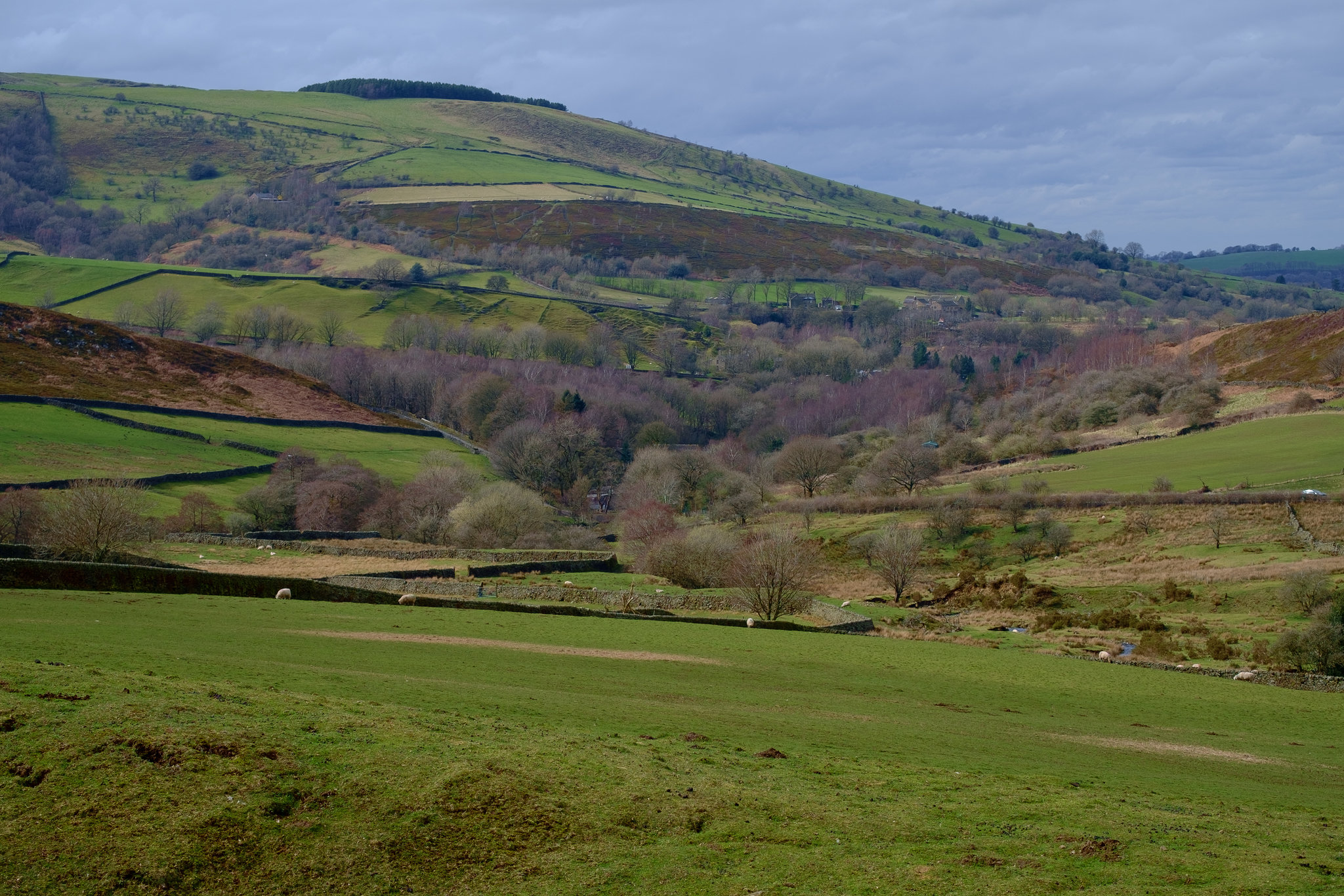 Whiteley Nab