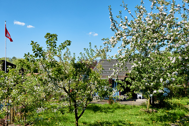 kleingarten-00649-co-08-05-16