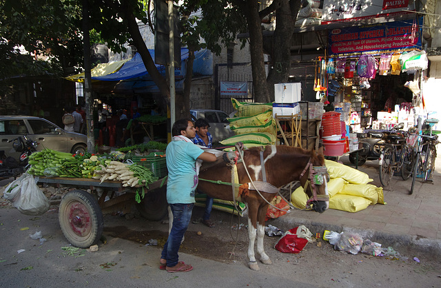 Horse and cart, vegetables