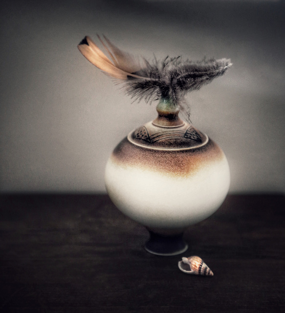 feather pot & shell