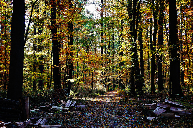 Herbstwanderung - Autumn hike