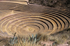 Incan crop terraces