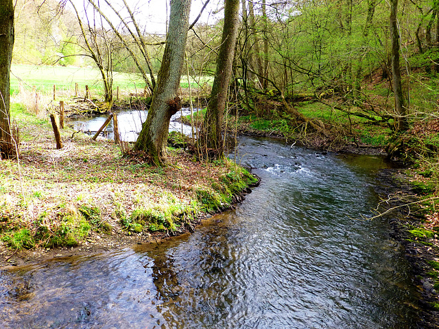 DE - Mettmann - Hiking in the Neandertal