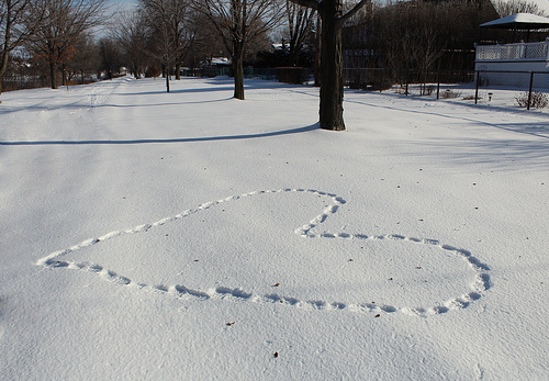 joyeuse saint-Valentin