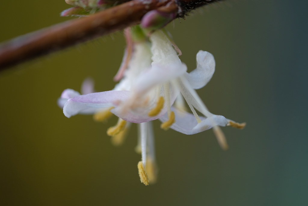DSCF1485