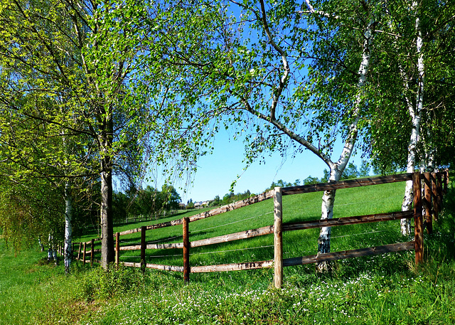 DE - Grafschaft - Frühlingsspaziergang