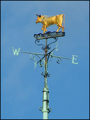 golden ox weathervane