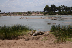 Galana River  inhabitants.