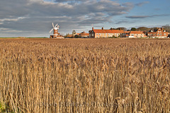The Windmill at Cley
