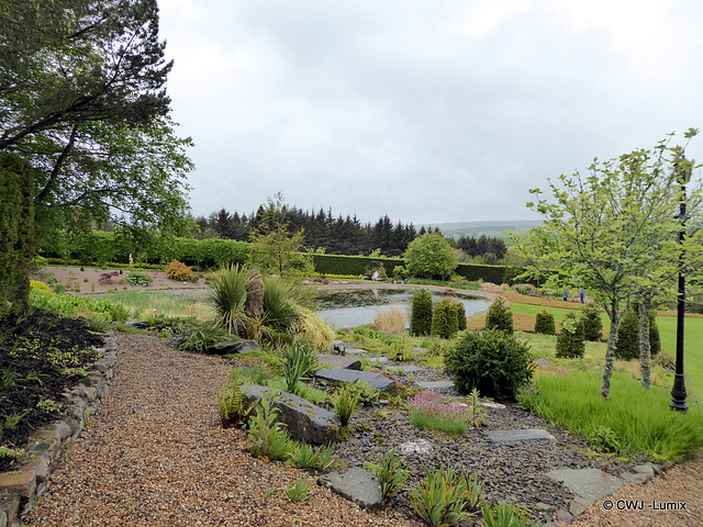 Carestown Steading Garden on a wet May 30th 2015