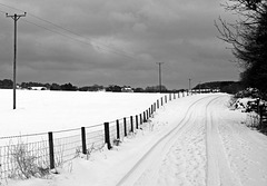 Country Track in Winter