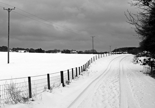 Country Track in Winter