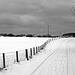 Country Track in Winter
